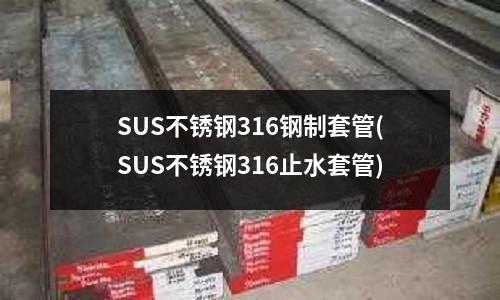 SUS不锈钢316钢制套管(SUS不锈钢316止水套管)