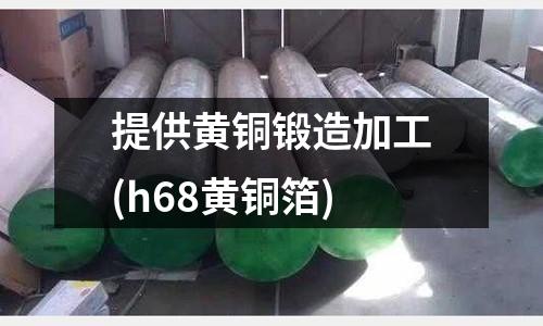 提供黄铜锻造加工(h68黄铜箔)
