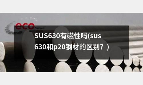 SUS630有磁性吗(sus630和p20钢材的区别?)