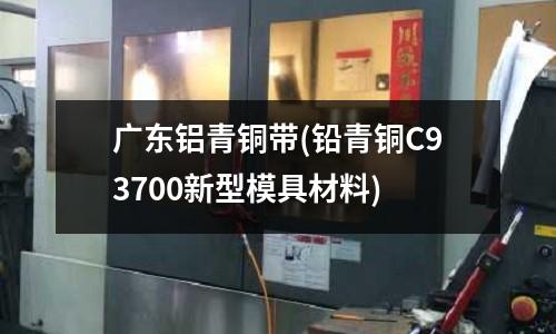 广东铝青铜带(铅青铜C93700新型模具材料)