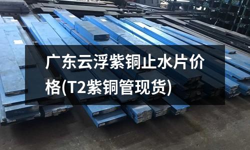 广东云浮紫铜止水片价格(T2紫铜管现货)
