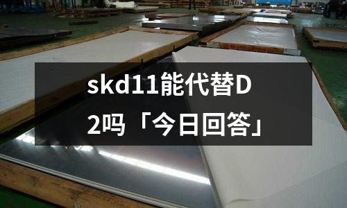 skd11能代替D2吗「今日回答」
