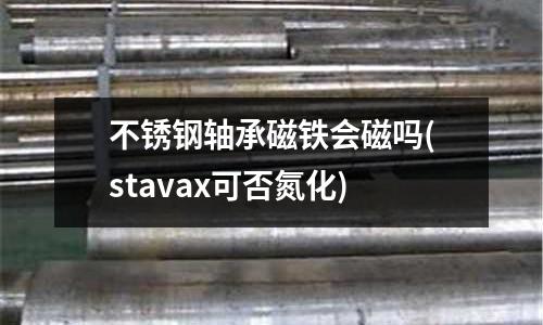 不锈钢轴承磁铁会磁吗(stavax可否氮化)