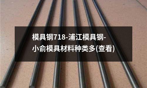 模具钢718-浦江模具钢-小俞模具材料种类多(查看)