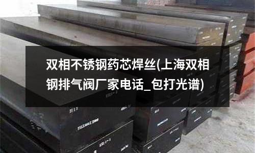 双相不锈钢药芯焊丝(上海双相钢排气阀厂家电话_包打光谱)