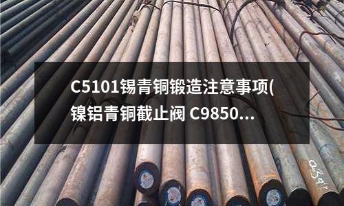C5101锡青铜锻造注意事项(镍铝青铜截止阀 C98500 镍铝青铜)