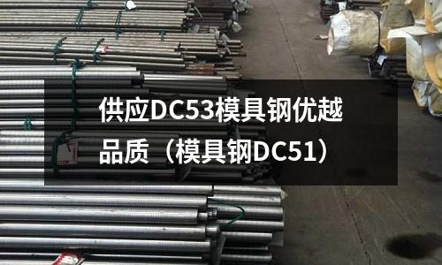 供应DC53模具钢优越品质(模具钢DC51)