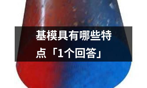 基模具有哪些特点「1个回答」