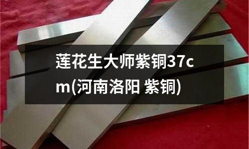 莲花生大师紫铜37cm(河南洛阳 紫铜)