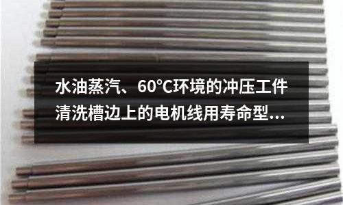 水油蒸汽、60℃环境的冲压工件清洗槽边上的电机线用寿命型号好「2个回答」