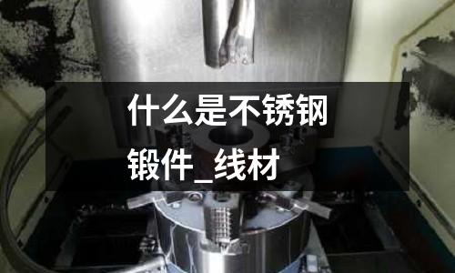 什么是不锈钢锻件_线材