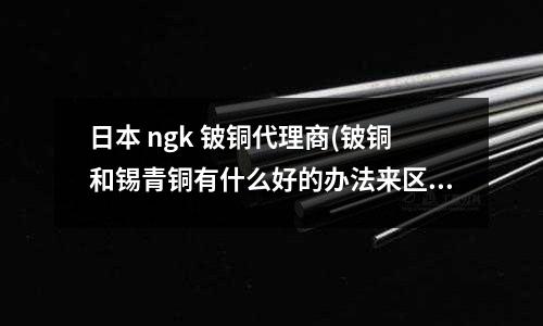 日本 ngk 铍铜代理商(铍铜和锡青铜有什么好的办法来区分吗?)