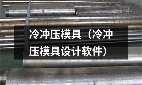 冷冲压模具(冷冲压模具设计软件)