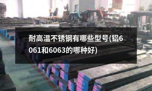 耐高温不锈钢有哪些型号(铝6061和6063的哪种好)