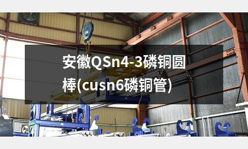安徽QSn4-3磷铜圆棒(cusn6磷铜管)