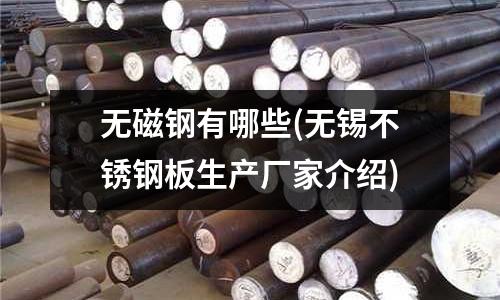 无磁钢有哪些(无锡不锈钢板生产厂家介绍)
