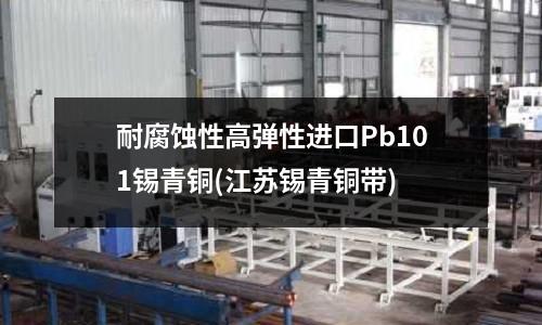 耐腐蚀性高弹性进口Pb101锡青铜(江苏锡青铜带)