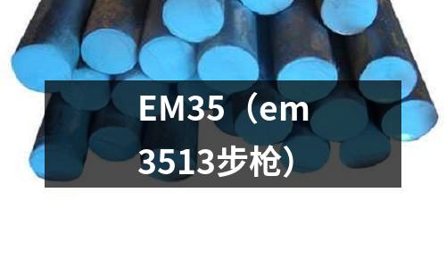 EM35(em3513步枪)