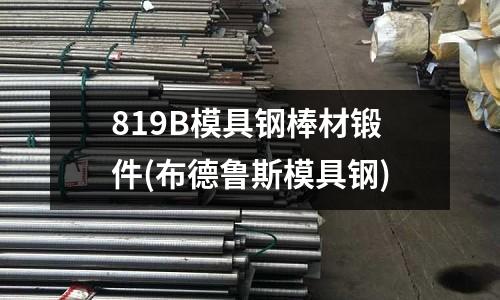 819B模具钢棒材锻件(布德鲁斯模具钢)