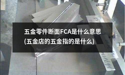 五金零件断面FCA是什么意思(五金店的五金指的是什么)