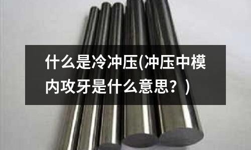 什么是冷冲压(冲压中模内攻牙是什么意思?)