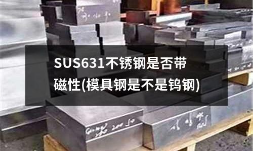 SUS631不锈钢是否带磁性(模具钢是不是钨钢)