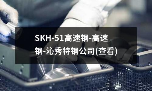 SKH-51高速钢-高速钢-沁秀特钢公司(查看)