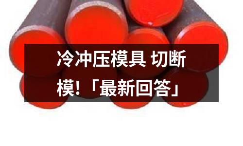 冷冲压模具 切断模!「最新回答」