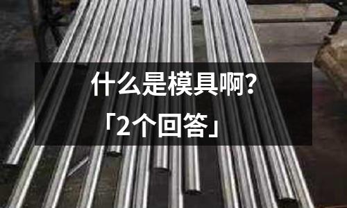 什么是模具啊?「2个回答」
