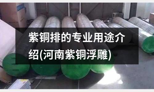 紫铜排的专业用途介绍(河南紫铜浮雕)