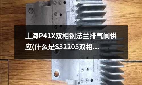 上海P41X双相钢法兰排气阀供应(什么是S32205双相钢)