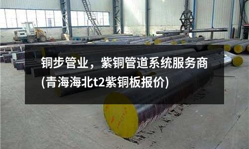 铜步管业,紫铜管道系统服务商(青海海北t2紫铜板报价)