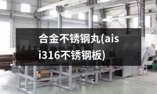 合金不锈钢丸(aisi316不锈钢板)