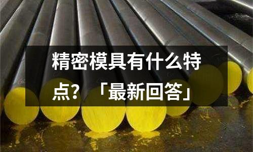 精密模具有什么特点?「最新回答」