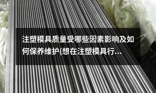 注塑模具质量受哪些因素影响及如何保养维护(想在注塑模具行业发展,请问我需要了解哪些方面的知识?)