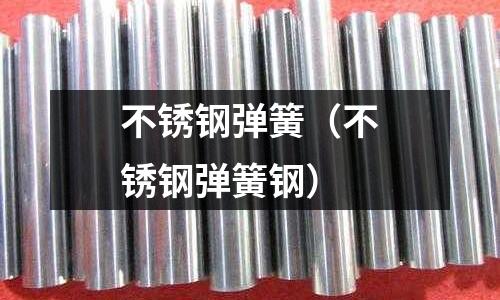 不锈钢弹簧(不锈钢弹簧钢)