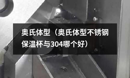 奥氏体型(奥氏体型不锈钢保温杯与304哪个好)