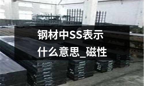 钢材中SS表示什么意思_磁性