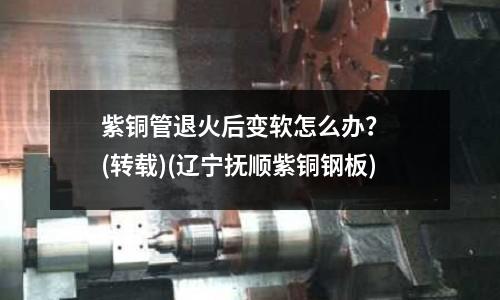 紫铜管退火后变软怎么办? (转载)(辽宁抚顺紫铜钢板)