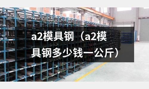 a2模具钢(a2模具钢多少钱一公斤)
