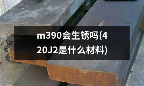 m390会生锈吗(420J2是什么材料)