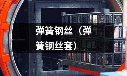 弹簧钢丝(弹簧钢丝套)