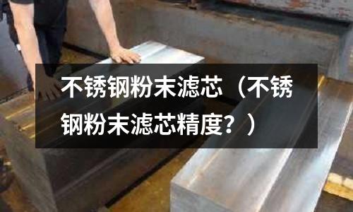 不锈钢粉末滤芯(不锈钢粉末滤芯精度?)