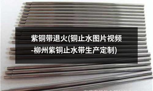 紫铜带退火(铜止水图片视频-柳州紫铜止水带生产定制)