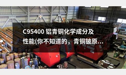 C95400 铝青铜化学成分及性能(你不知道的,青铜铍原来长这样)