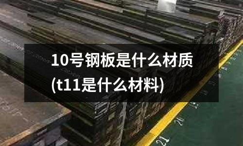10号钢板是什么材质(t11是什么材料)
