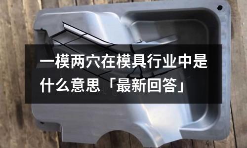 一模两穴在模具行业中是什么意思「最新回答」