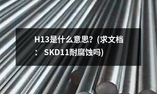 H13是什么意思?(求文档: SKD11耐腐蚀吗)
