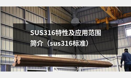 SUS316特性及应用范围简介(sus316标准)
