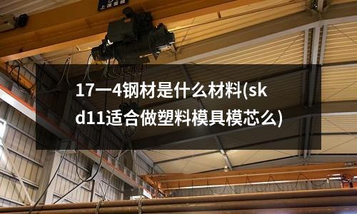 17一4钢材是什么材料(skd11适合做塑料模具模芯么)